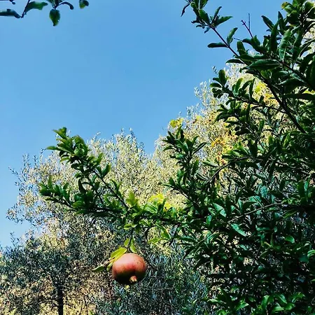 Ricomincio Da 3 2* Pompei